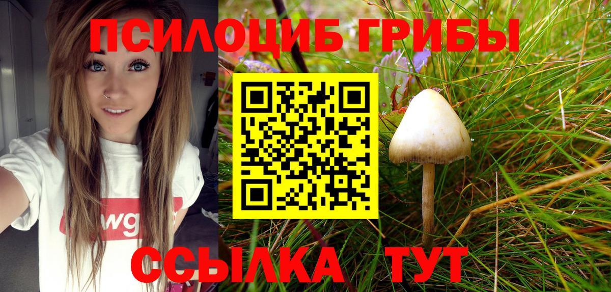 Галлюциногенные грибы Cubensis  купить закладку  Унеча  Вход с VPN 