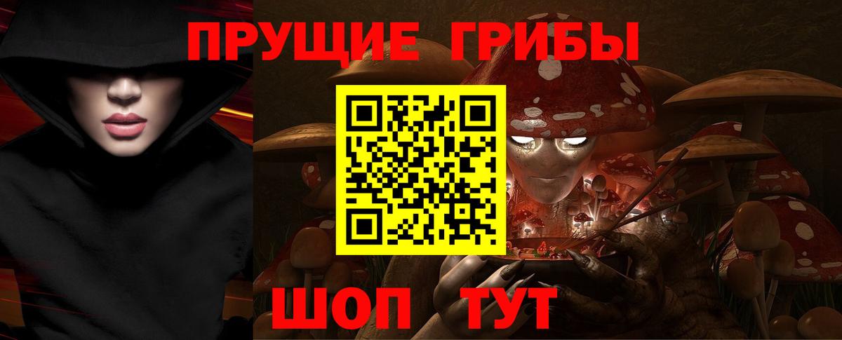Галлюциногенные грибы прущие грибы Унеча